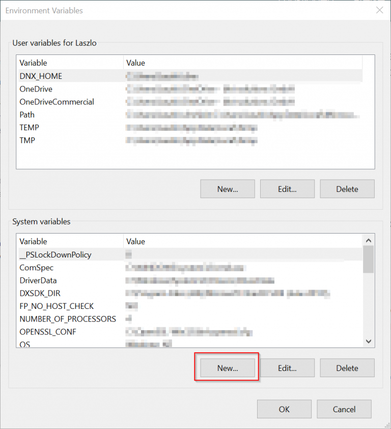 Create New Environment Variable